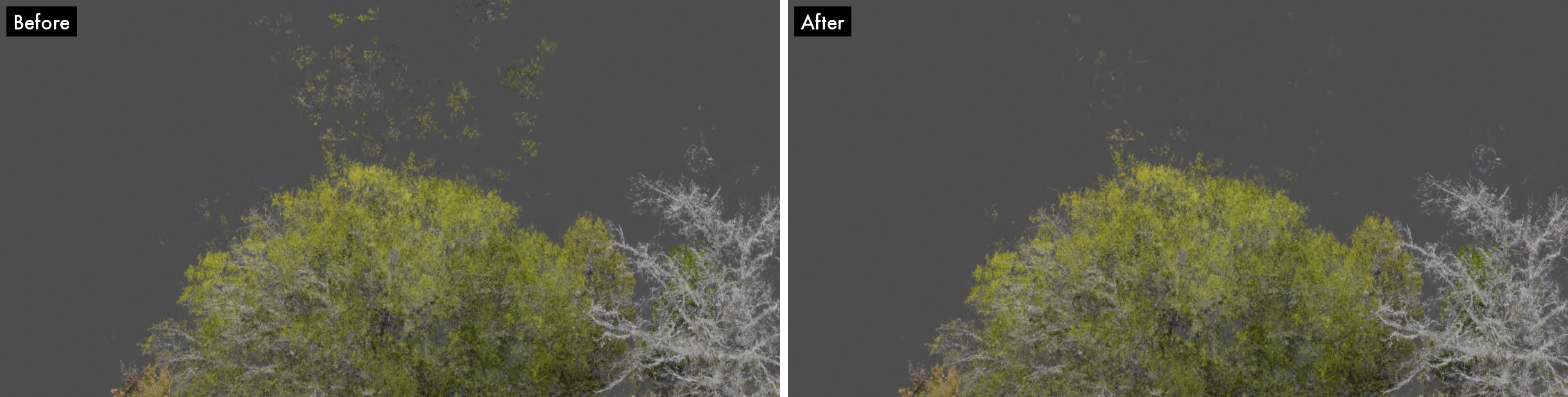 Floaters over a tree crown, before and after
